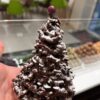 Sapin Rocher