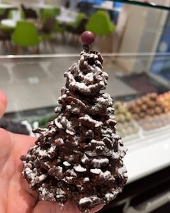 Sapin Rocher